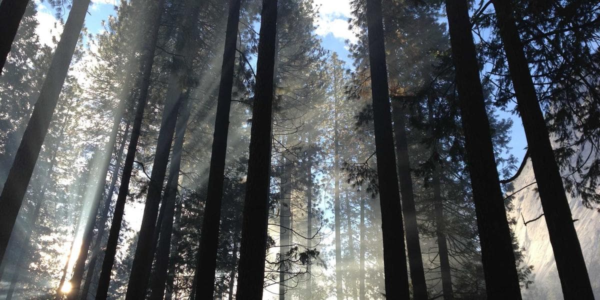 Najlepší čas na príspevky v sociálnych sieťach